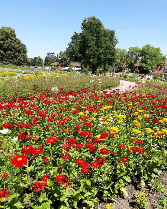 Biergarten Höhenberg